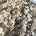新货包邮正宗云南小黄姜大片年前好货无硫姜片质量优好货推荐