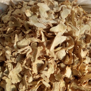 新货包邮正宗云南小黄姜大片年前好货无硫姜片质量优好货推荐