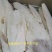 海螵蛸乌贼骨无硫熏各种规格一公斤发货