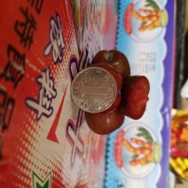 三华李产地直发，专供电商平台