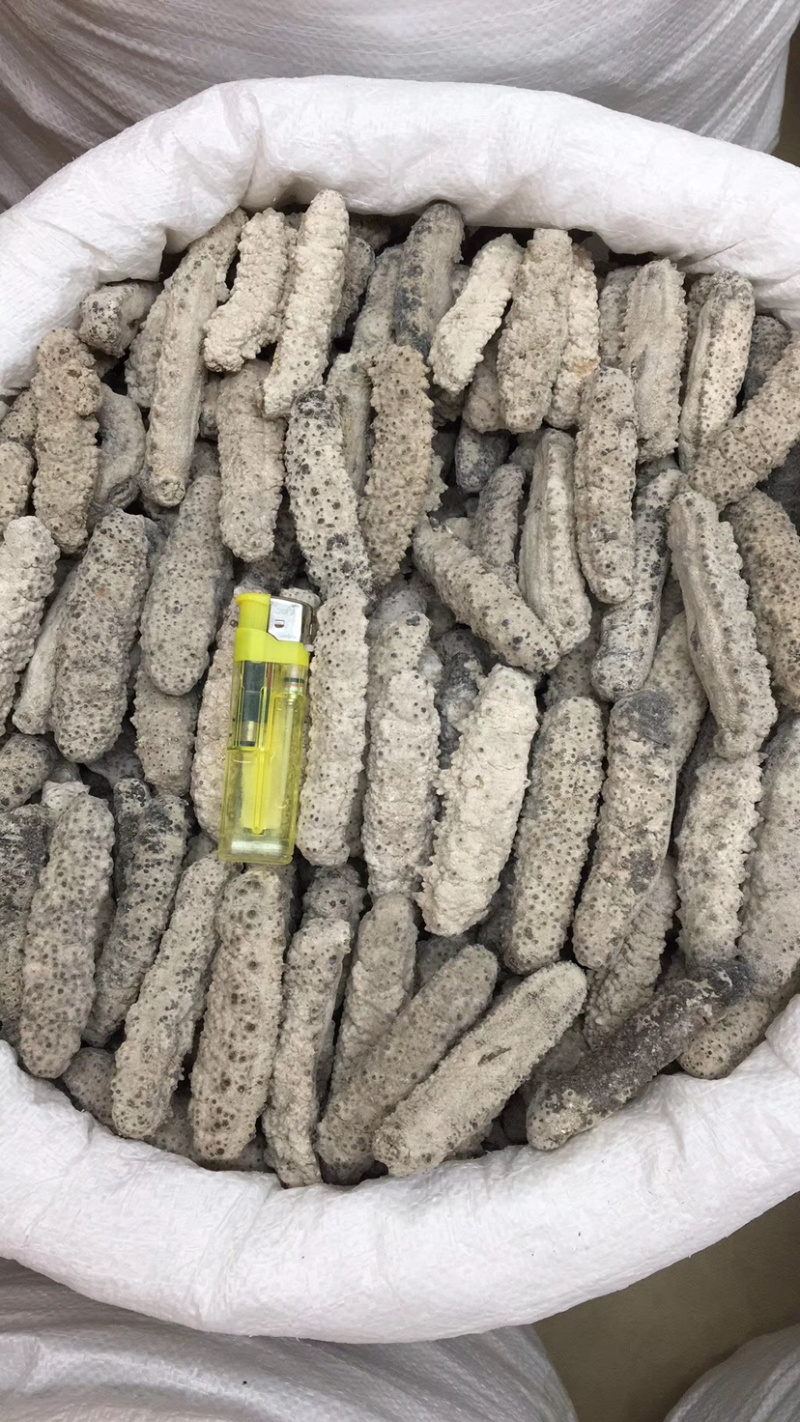 海参黄玉参黄肉参白玉参黄玉海参干货酒店专用海参滋补佳品