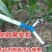 全新升级款玉米施肥器农用蔬菜溜肥器多功能手动施肥机加厚