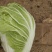 白菜（产地直供实力代收，货源充足，期待长期合作