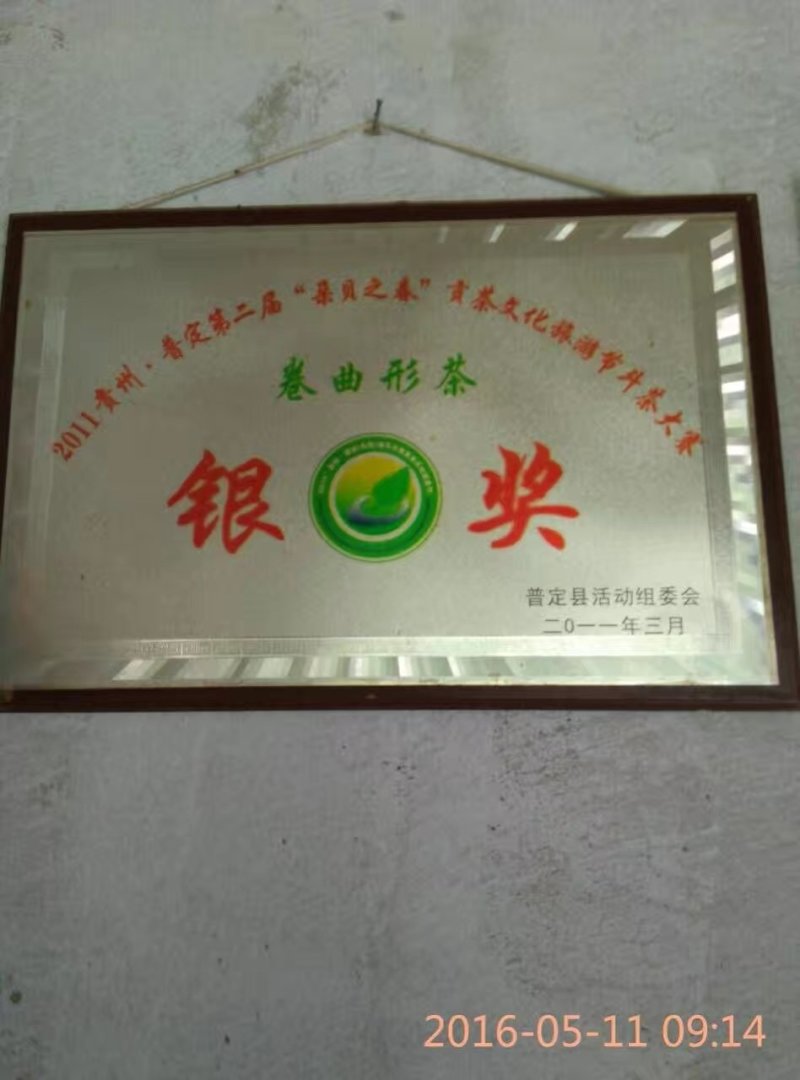 2020年贵州绿茶—“春林”朵贝贡茶明前一级毛峰100克
