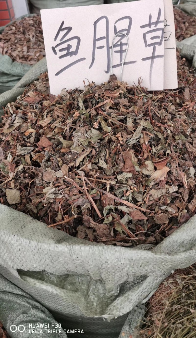 鱼腥草，野生鱼腥草，扎把条子，切片均有，颜色青绿干度好
