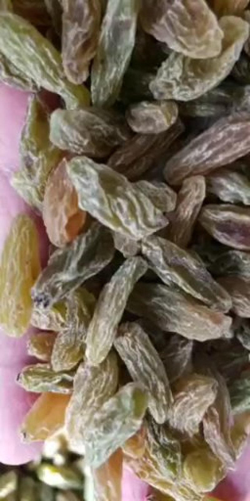 新疆葡萄干绿香妃葡萄干厂家批发电商商超社区袋装支持代