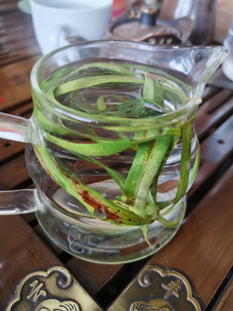 【爆款】原产地化石草老挝化石草，长期有货产地直供