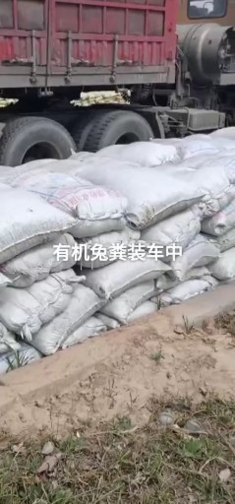 推荐农家肥基地，供应优质兔粪，鸡粪可视频看货