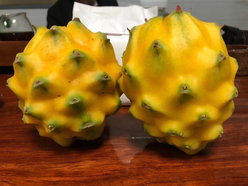 厄瓜多尔燕窝，原枝苗，自粉，甜度26度，包活包技术