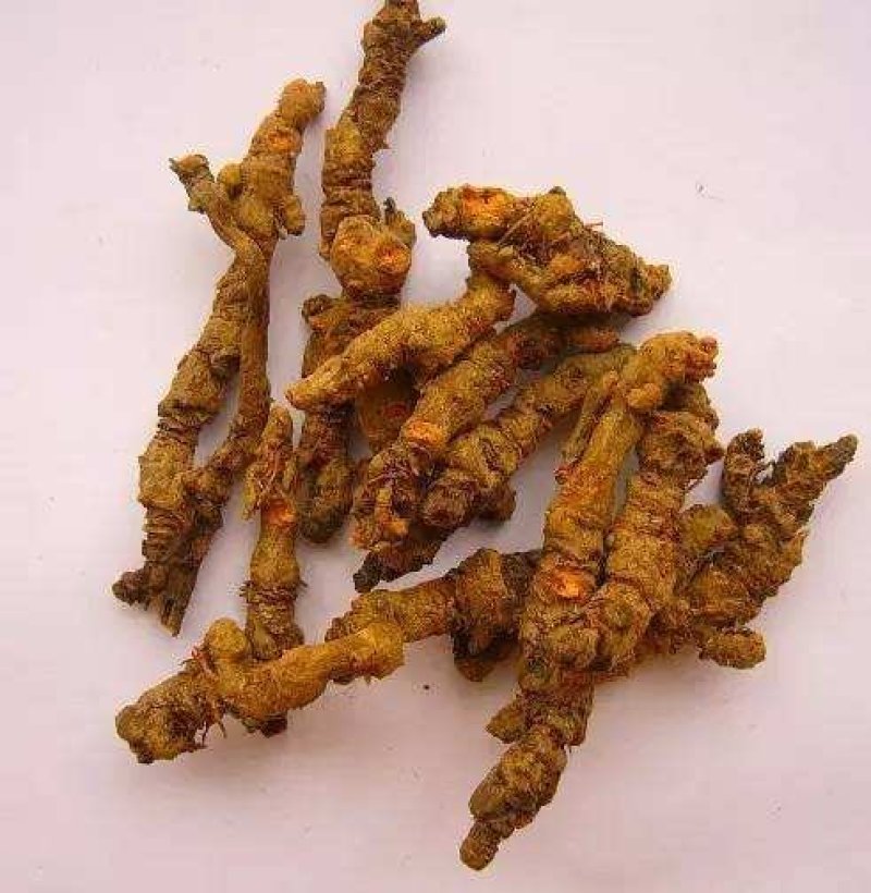 黄连(包邮)，3斤起批发物廉价美值得购买欢迎咨询
