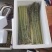 芦笋皖南绿芦笋黄山绿芦笋农家菜芦笋油焖爆炒凉拌家常菜