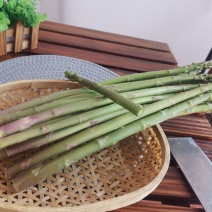 芦笋皖南绿芦笋黄山绿芦笋农家菜芦笋油焖爆炒凉拌家常菜