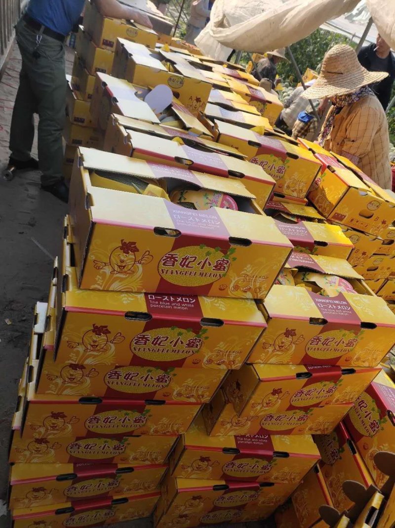 海南哈密瓜25号小蜜、承接电商、超市、团购、市场供货