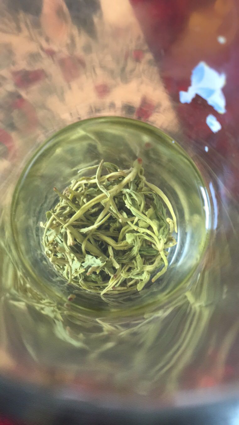 2025江西特产绿茶狗牯脑茶原产地高山茶叶