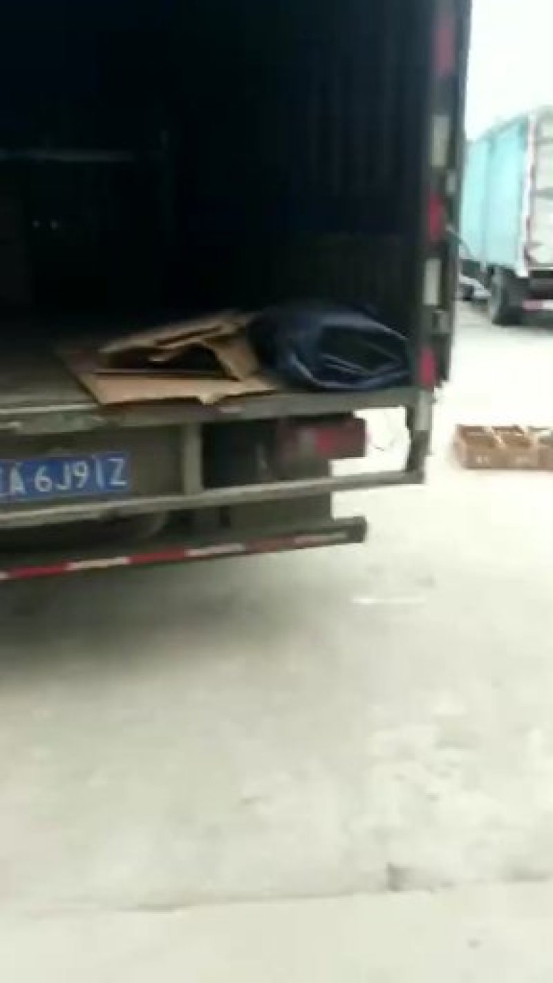 禽畜种苗，本厂常年提供，各种几鸡，有需要的老板联系，
