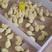 禽畜种苗，本厂常年提供，各种几鸡，有需要的老板联系，