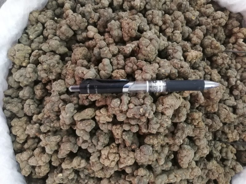 夏天无(包邮)物廉价美值得购买欢迎咨询