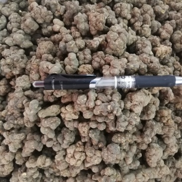 夏天无(包邮)物廉价美值得购买欢迎咨询