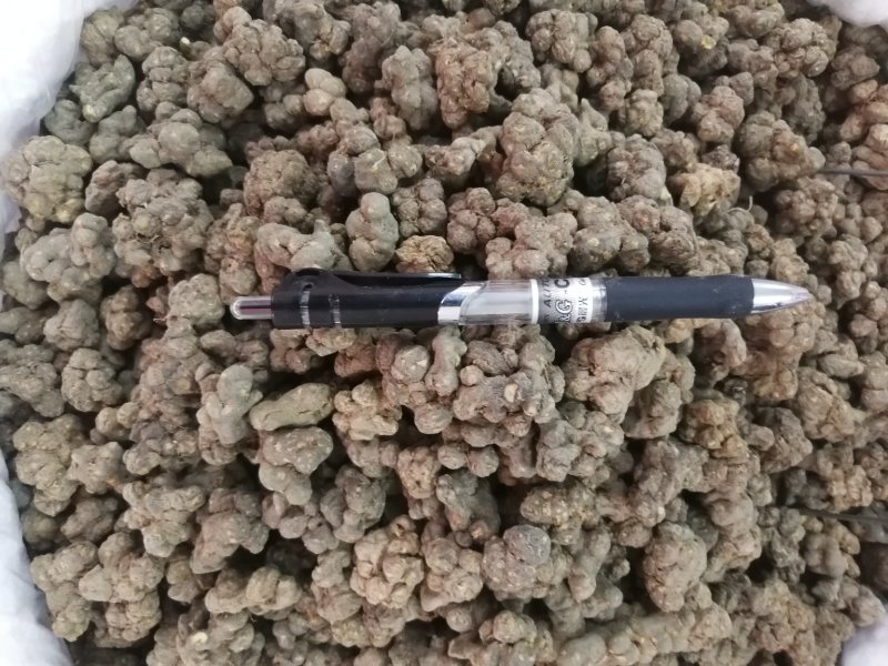 夏天无(包邮)物廉价美值得购买欢迎咨询