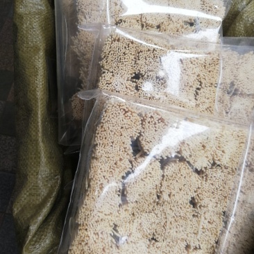 灯心草(包邮)3斤起批发物廉价美值得购买欢迎咨询