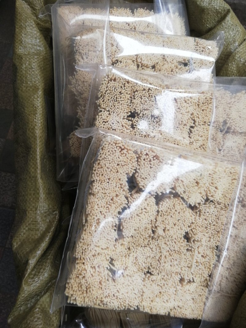 灯心草(包邮)3斤起批发物廉价美值得购买欢迎咨询