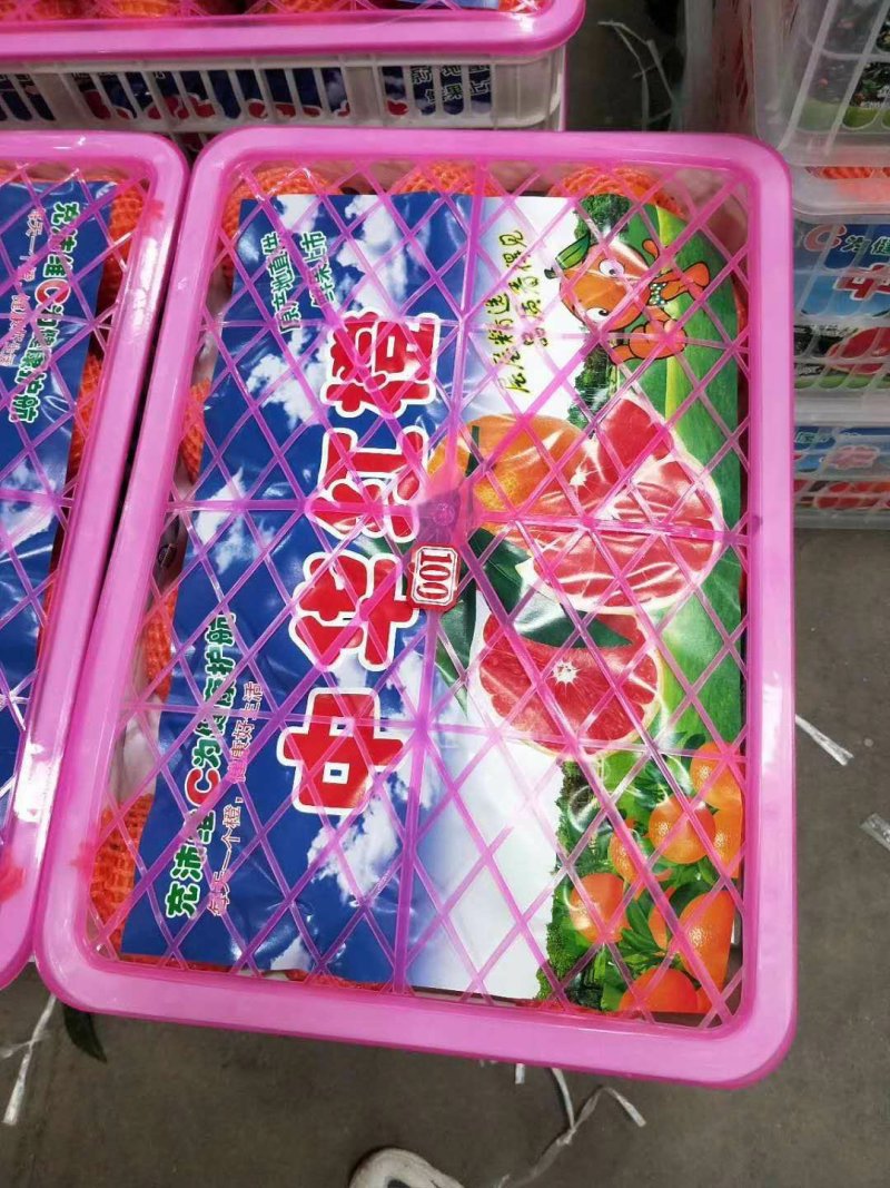 纽荷尔脐橙产地直销，看货采摘，保质保量