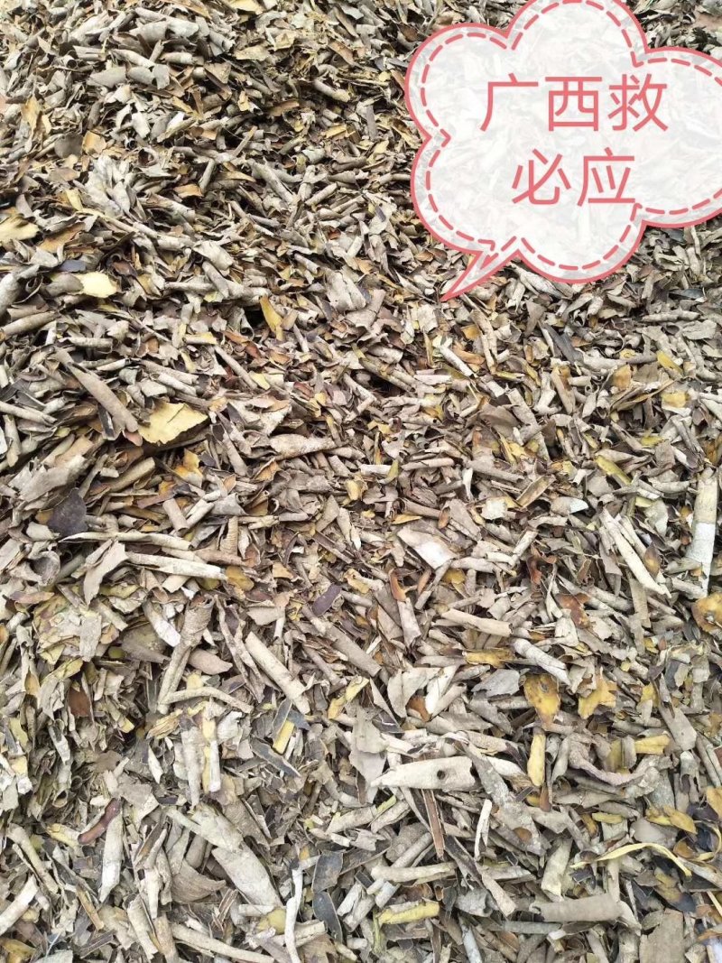 救必应，产地现货供应，进口与国产货均有，货干度好颜色漂亮