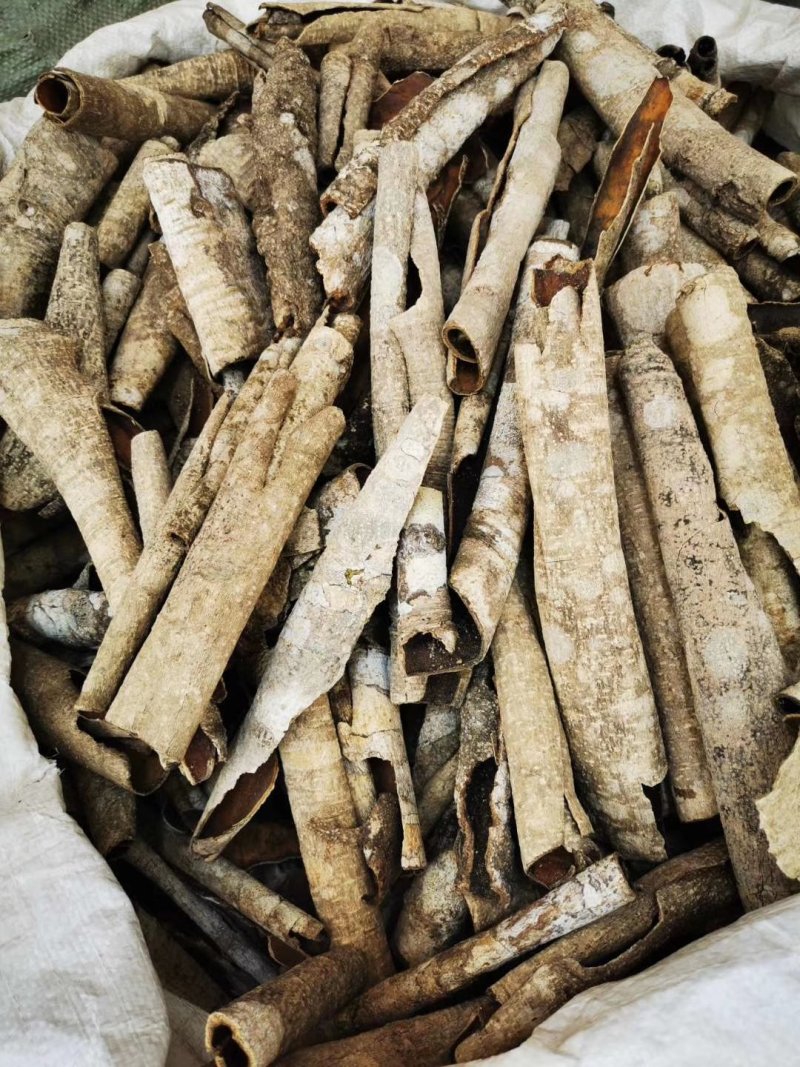救必应，产地现货供应，进口与国产货均有，货干度好颜色漂亮