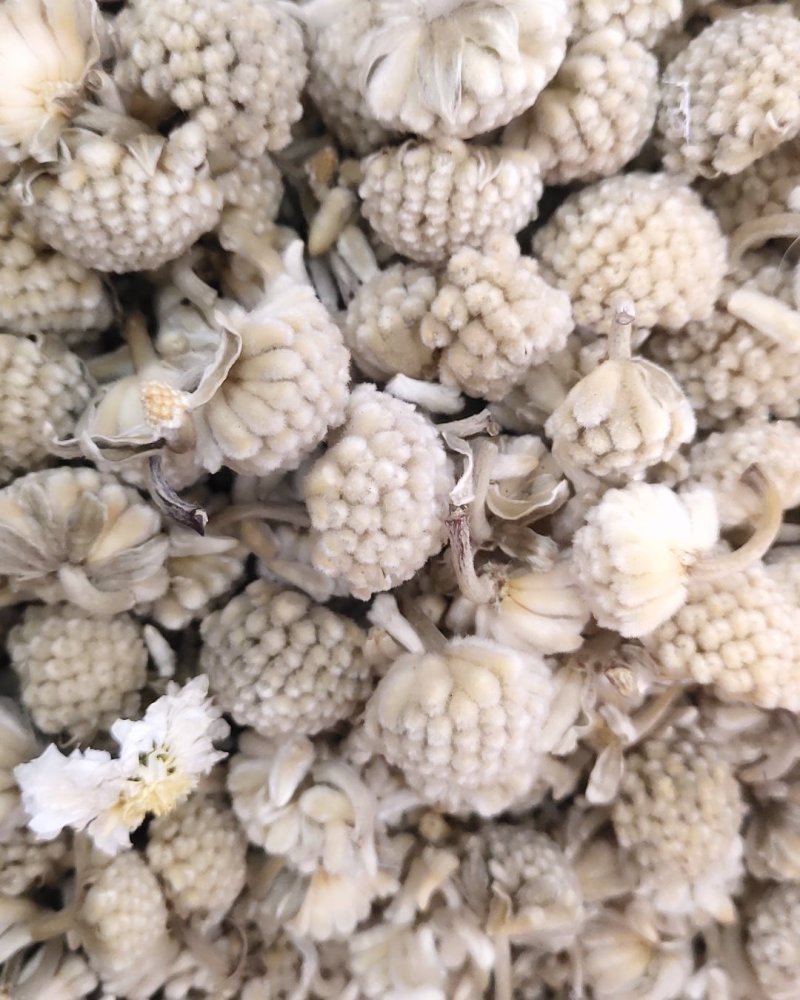 绿萝花，选新货颜色好关书药材桟批发中药