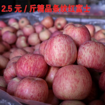 【苹果】烟台栖霞红将军苹果产地批发，皮薄多汁