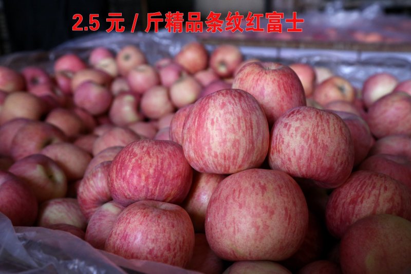 【苹果】烟台栖霞红将军苹果产地批发，皮薄多汁