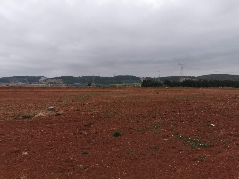泸西70亩香葱种植用地出租