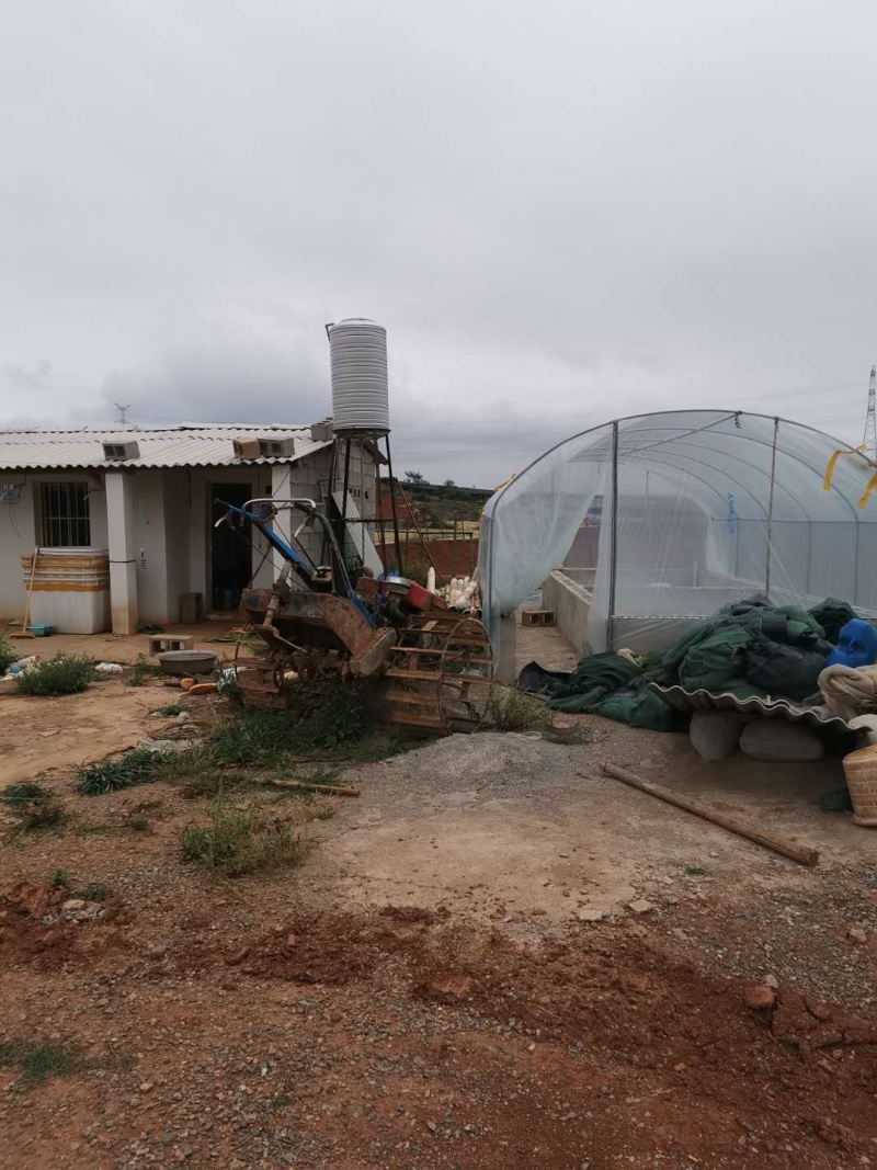 泸西70亩香葱种植用地出租