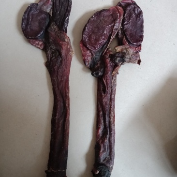 驴鞭干驴鞭泡酒干货批发零售各种规格中药材