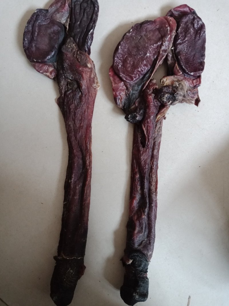 驴鞭干驴鞭泡酒干货批发零售各种规格中药材