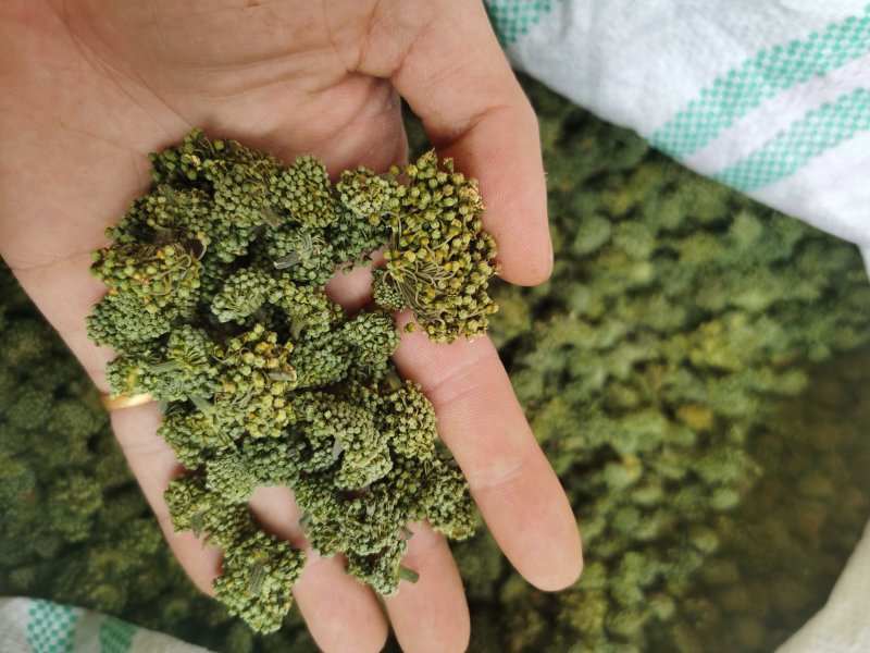 云南文山产品批发三七花价格优势现买现拍照表弟直供
