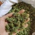云南文山产品批发三七花价格优势现买现拍照表弟直供