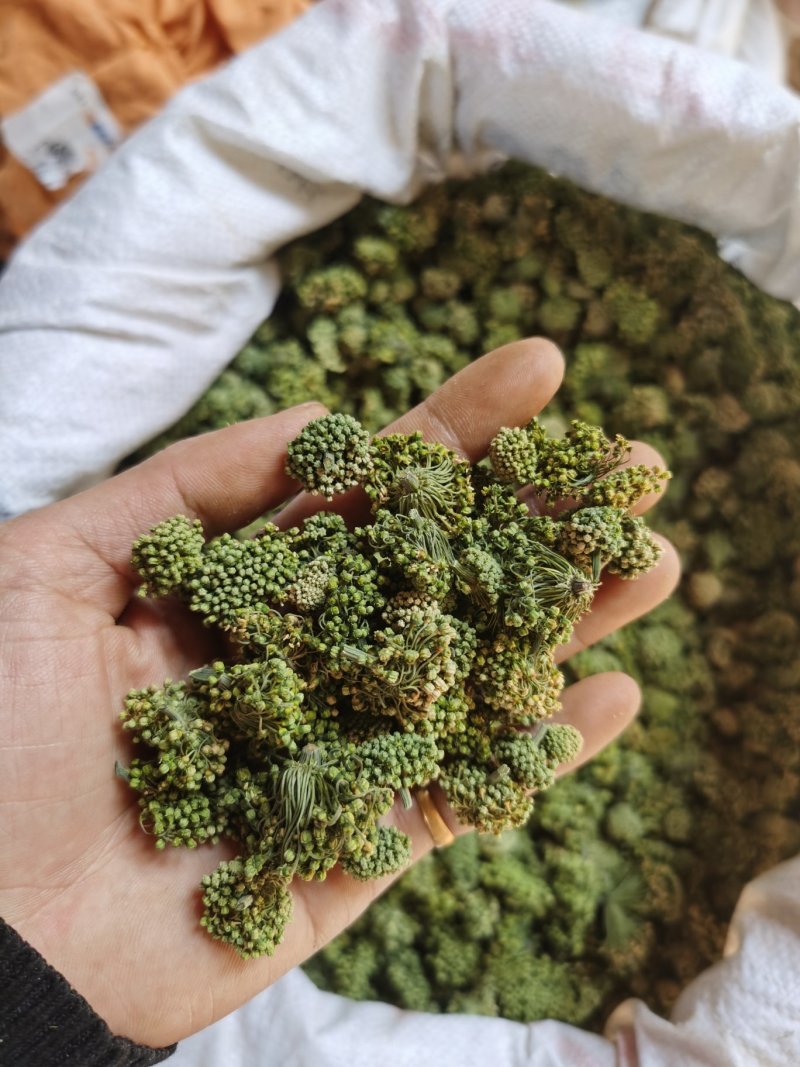 云南文山产品批发三七花价格优势现买现拍照表弟直供