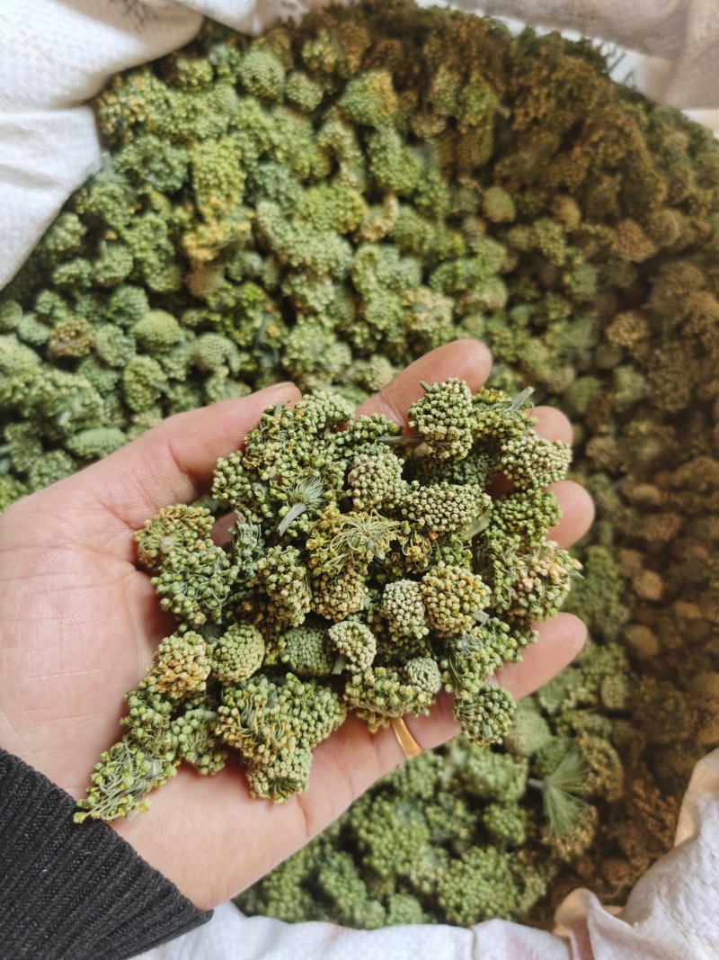 云南文山产品批发三七花价格优势现买现拍照表弟直供