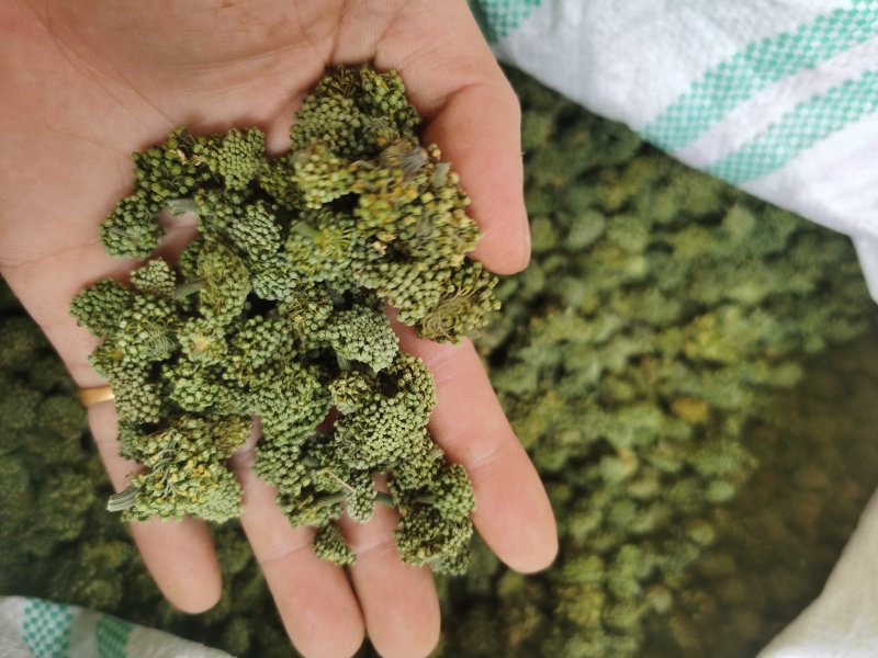 云南文山产品批发三七花价格优势现买现拍照表弟直供