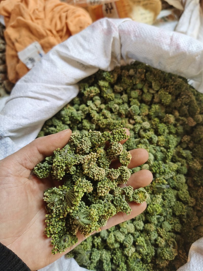 云南文山产品批发三七花价格优势现买现拍照表弟直供