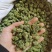 云南文山产品批发三七花价格优势现买现拍照表弟直供