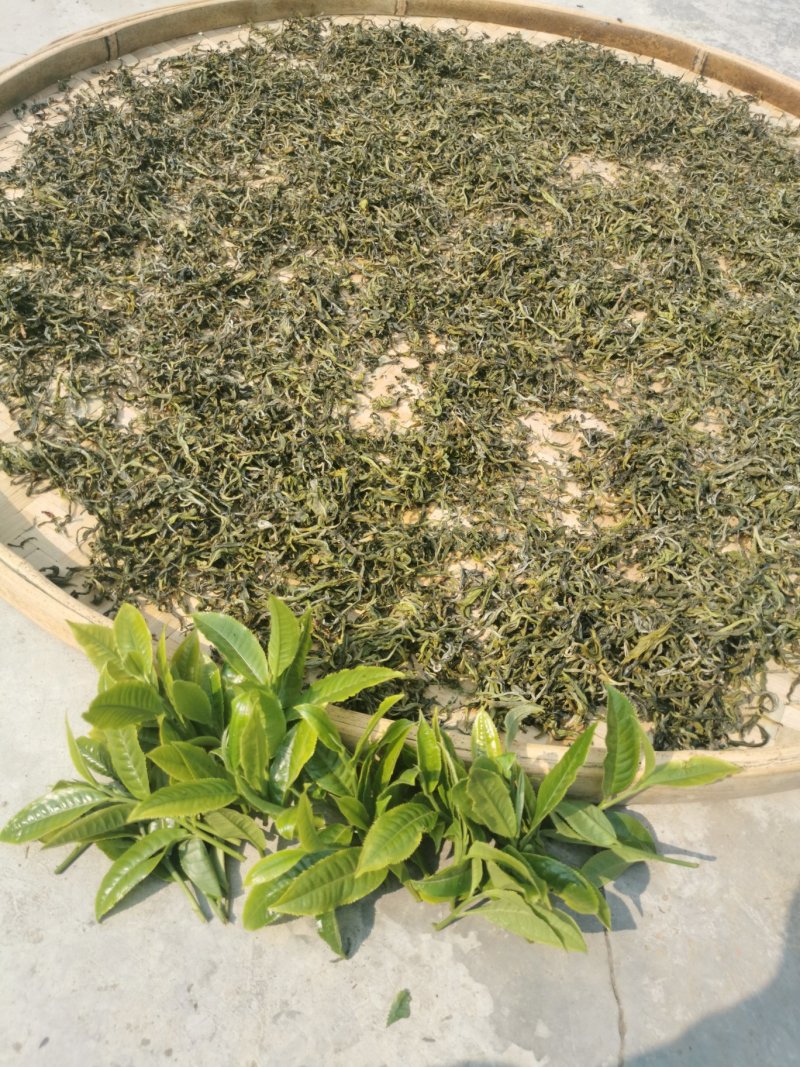 普洱茶茶叶
