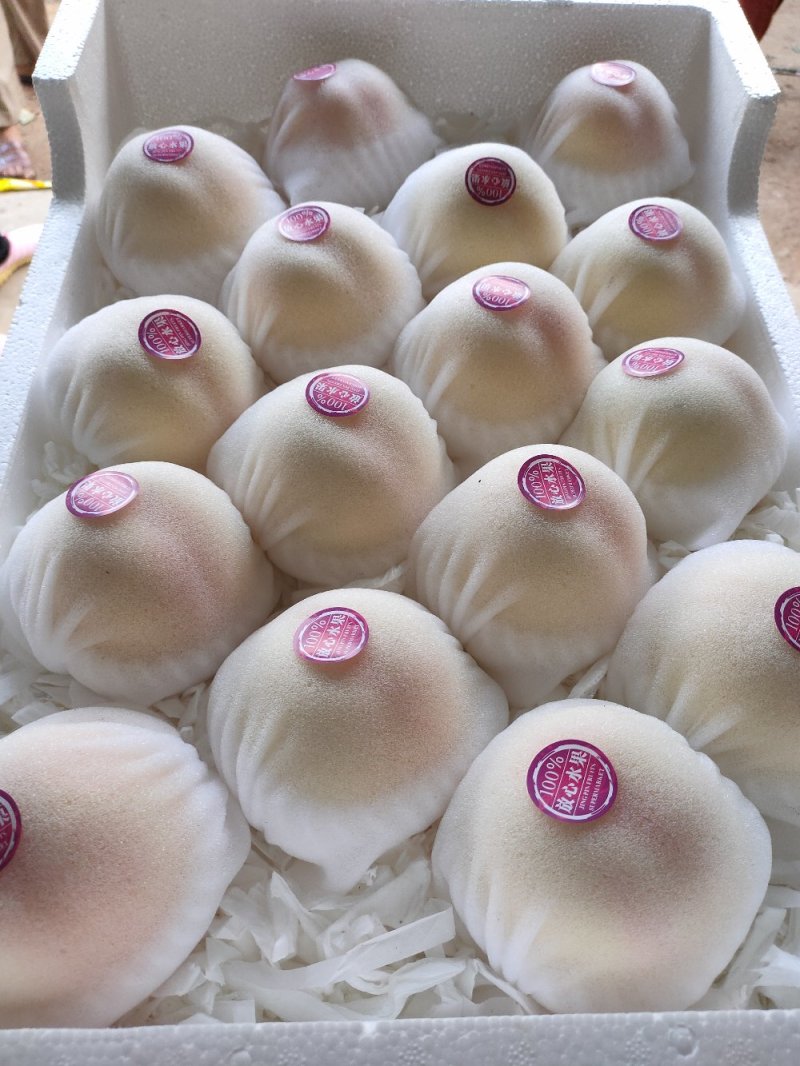 白凤桃各品种精品水蜜桃品种多大量现货，产区面积大供应足