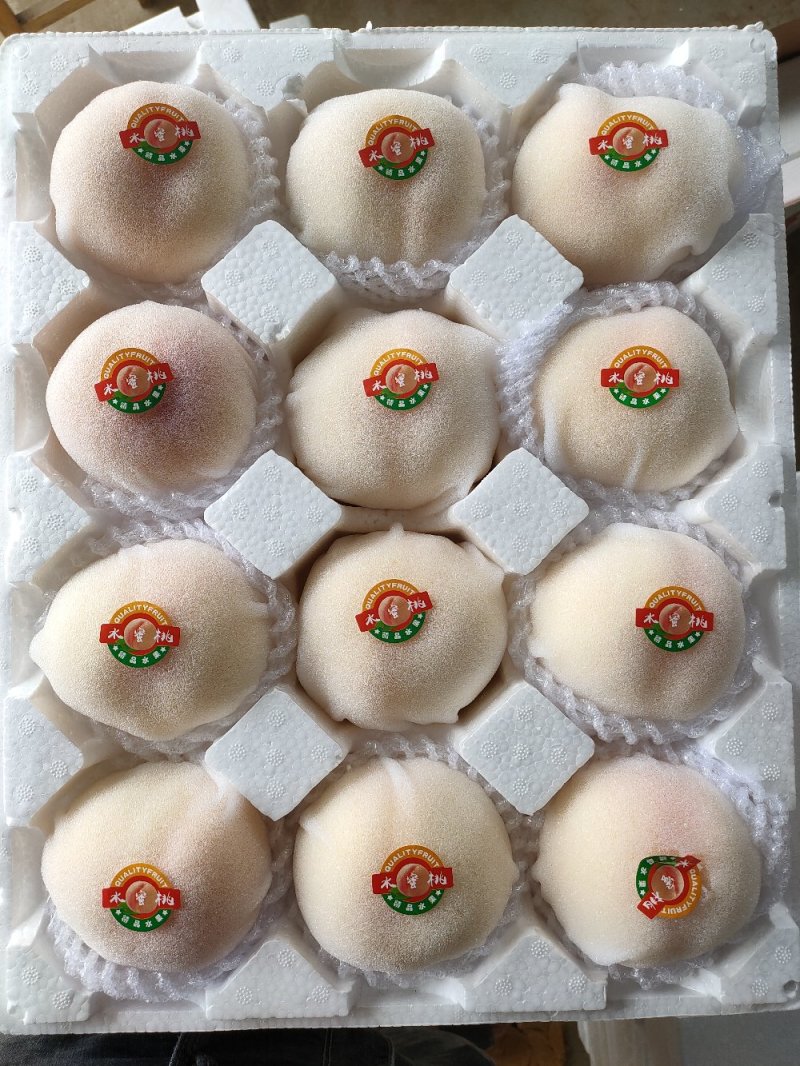 白凤桃各品种精品水蜜桃品种多大量现货，产区面积大供应足
