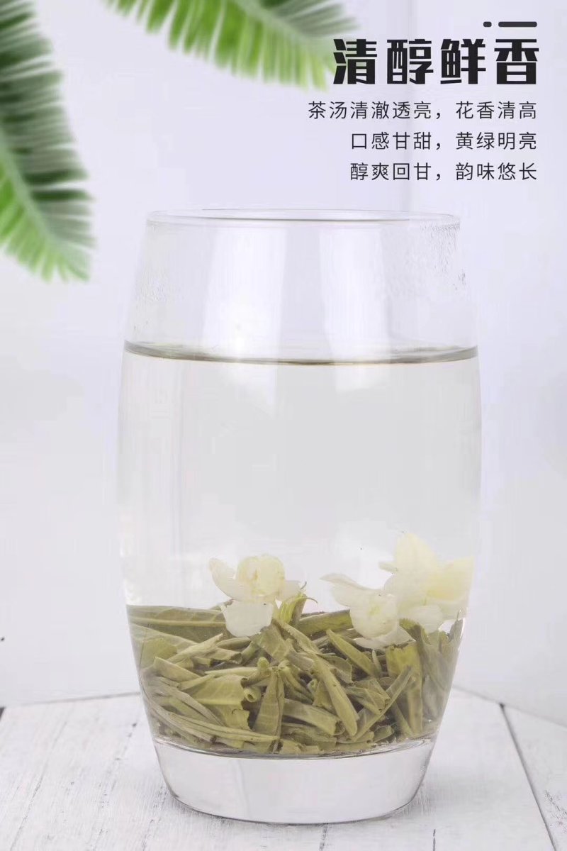 茉莉花茶白雪芽，新茶7窘浓花香一斤两罐装