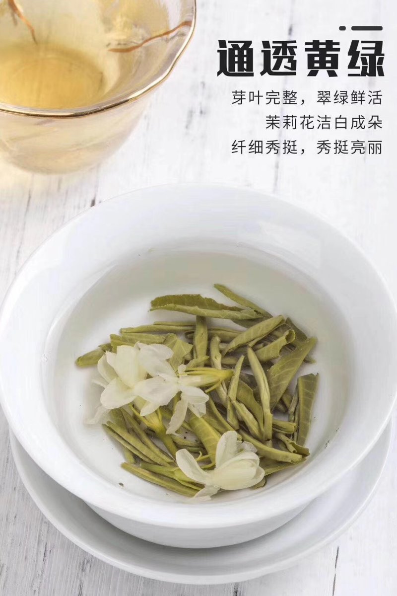 茉莉花茶白雪芽，新茶7窘浓花香一斤两罐装