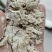 厂家直销牛羊猪饲料油料黄豆玉米油渣袋装饲料量大优惠