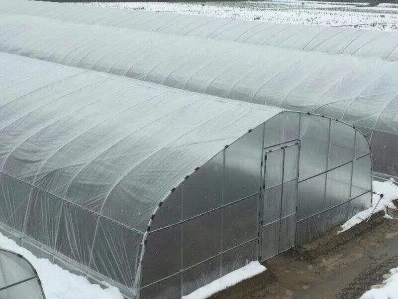 蔬菜大棚种植大棚育苗大棚草莓大棚镀锌钢管支持定制