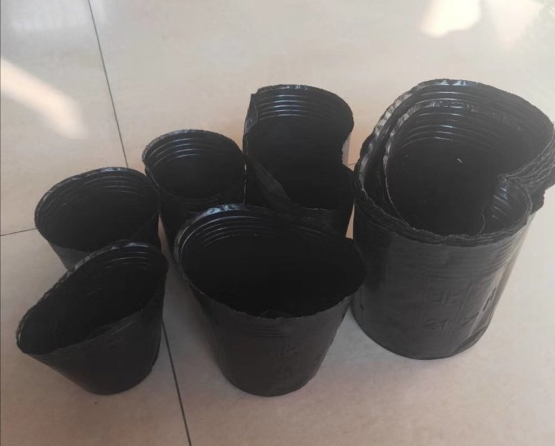 荷花盆盆栽荷花盆荷花专用盆